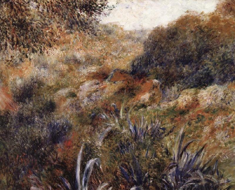 Pierre Renoir Algerian Landscape:Wild Woman Ravine Spain oil painting art